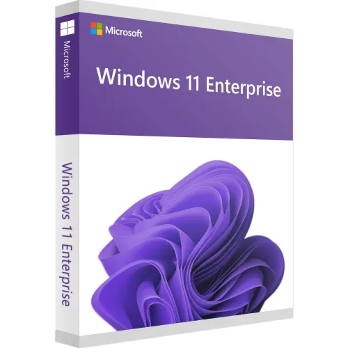 MS Windows 11 Enterprise Key
